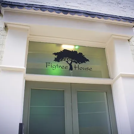 Homely Serviced - Figtree Sheffield
